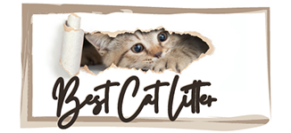 Best Cat Litter South Africa
